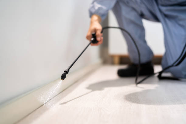 Licensed Mosquito Control service in Folsom, CA - Show Me Pest Control