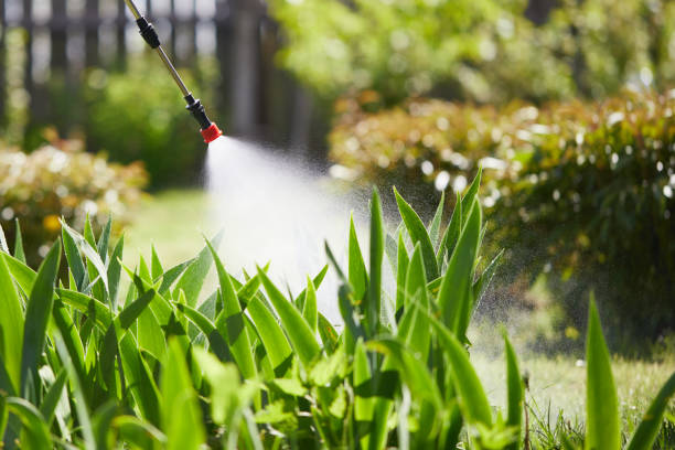 24/7 Emergency Mosquito Control experts in Folsom, CA