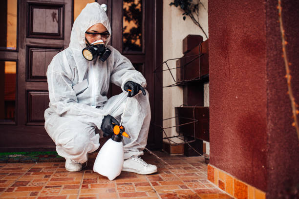 Reliable Mosquito Control contractor in Folsom, CA by Show Me Pest Control